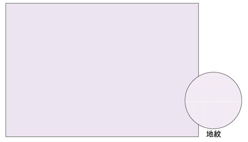 BP2111Z コピー偽造予防用紙浮き文字タイプA3片面