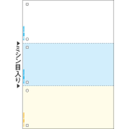 FSC2080 マルチプリンタ帳票FSC A4 カラー 3面 6穴