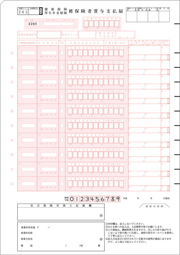 BP1306 健保賞与支払届(A4)