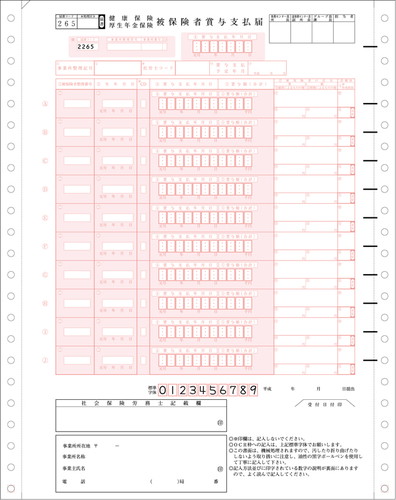 BP1307 健保賞与支払届【販売終了】